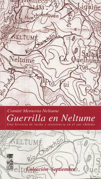 Guerrilla en Neltume