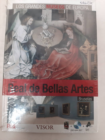 Museo Real De Bellas Artes Bruselas