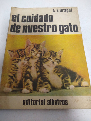 El cuidado de nuestro gato