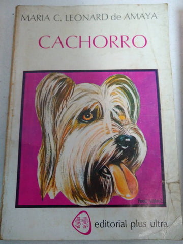 Cachorro