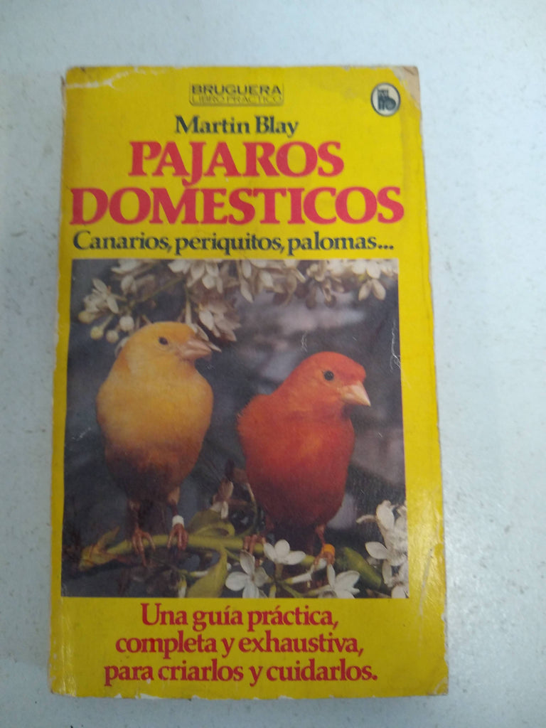 Pajaros domesticos