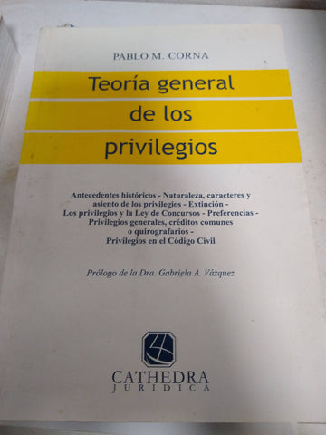 Teoría general de los privilegios