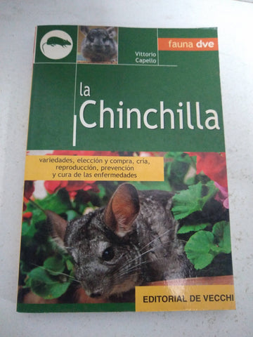 La chinchilla