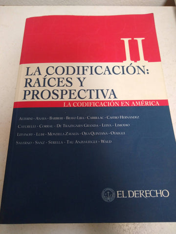 La codificación: raíces y prospectiva II