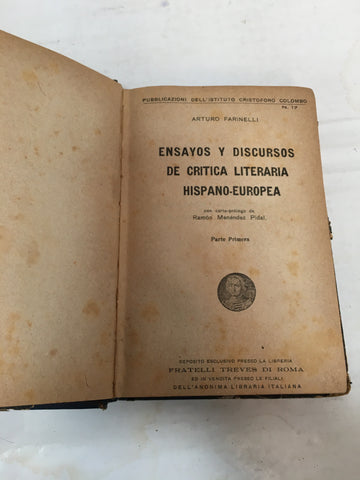 Ensayos y discursos de critica literaria hispano europea