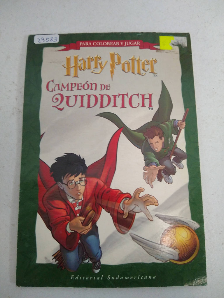 Harry Potter, campeon de Quidditch