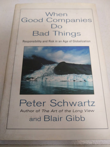 When Good Companies Do Bad Things : Responsibility and Risk in an Age of Globalization