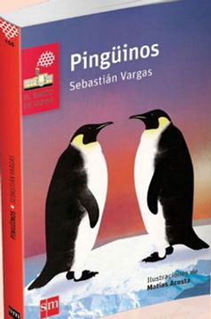 Pingüinos