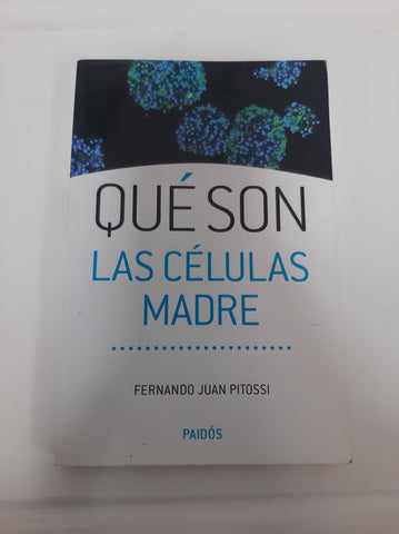 Qué son las células madre