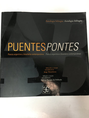 Puentes/Pontes. Poesía argentina y brasileña contemporánea