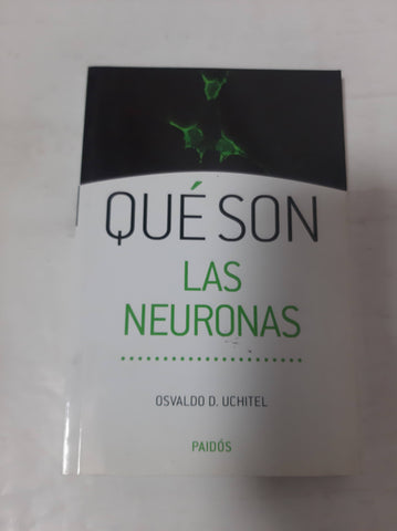 Qué Son Las Neuronas