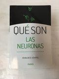 Qué Son Las Neuronas