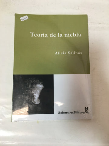 teoria de la niebla