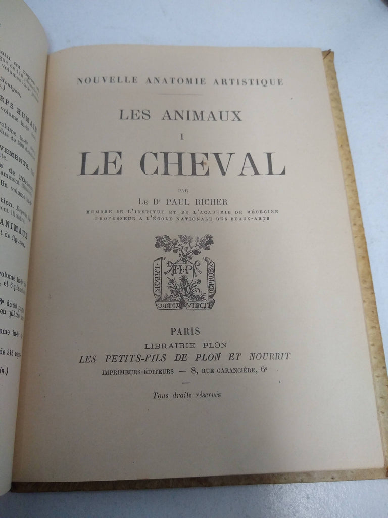 Les Animaux Le Cheval