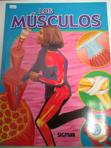 Los musculos