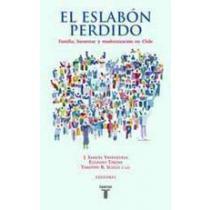 El eslabón perdido : familia, modernización y bienestar en Chile