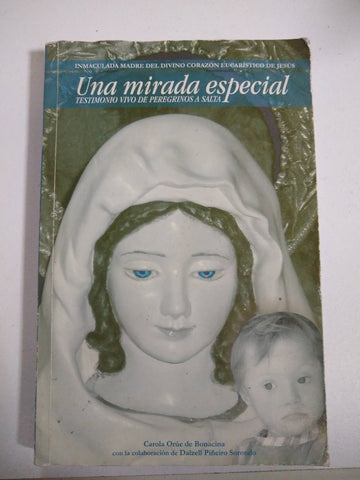 Una mirada especial. Testimonio vivo de peregrinos a Salta.