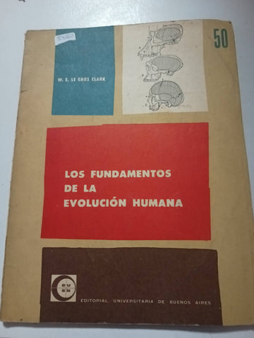 los fundamentos de la evolución humana