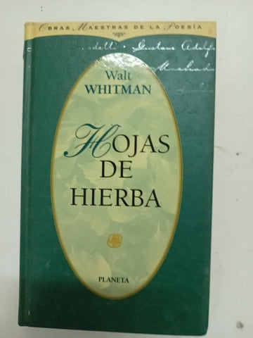 Hojas De Hierba