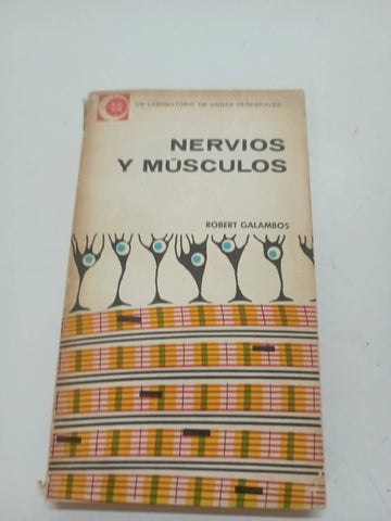 Nervios y musculos