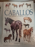 Caballos de America, Europa y Asia