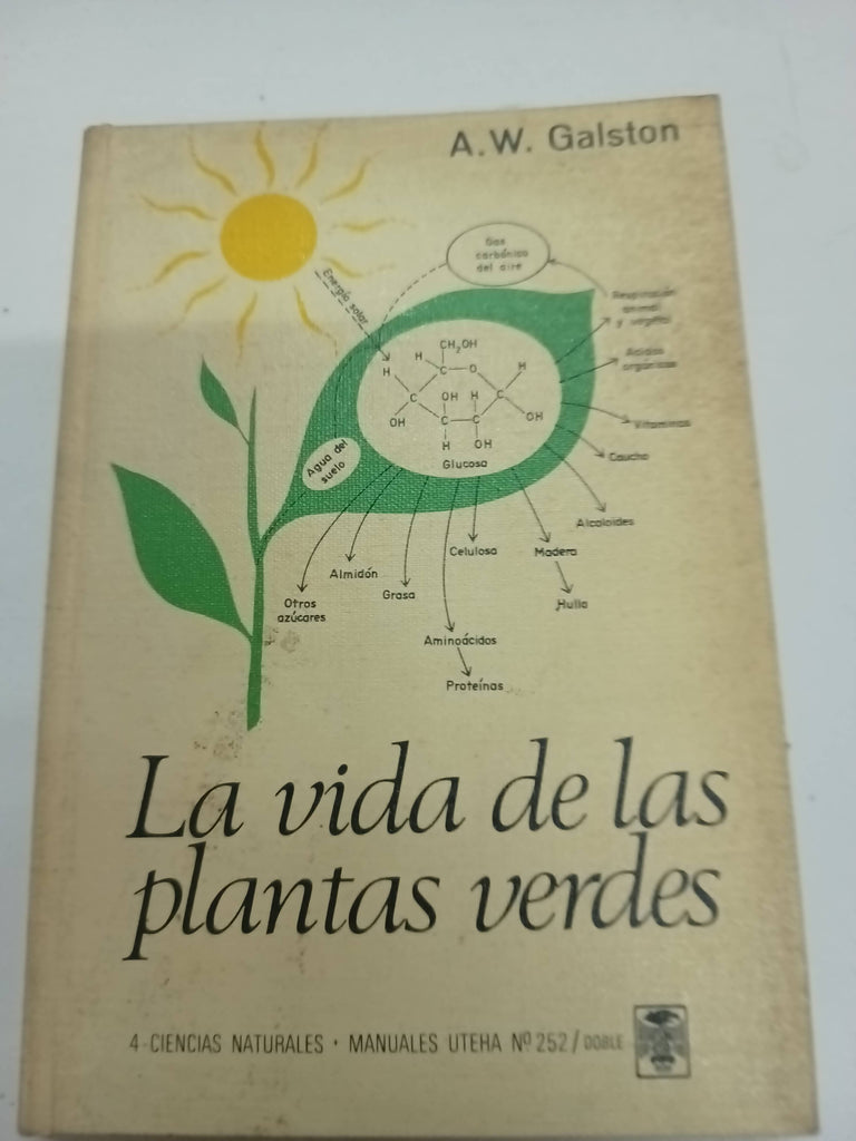 La Vida De Las Plantas Verdes