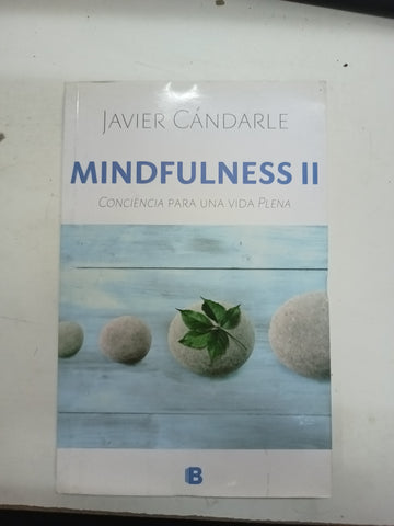 Mindfulness II