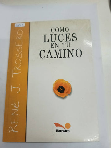 Como luces en tu camino