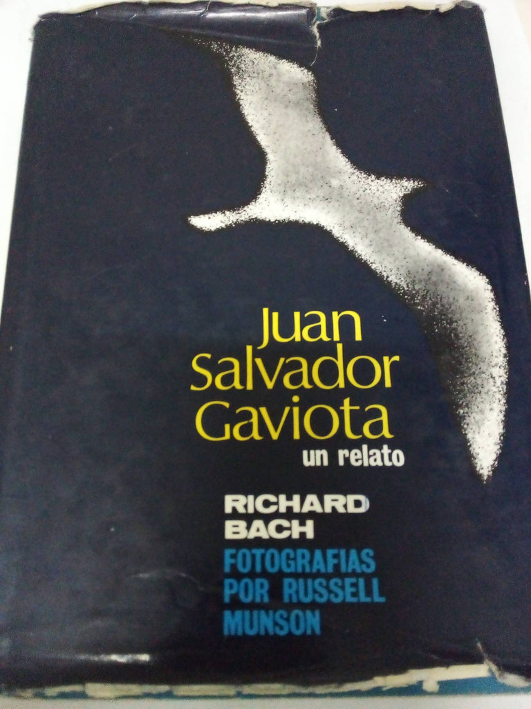 Juan Salvador Gaviota ; Ilusiones