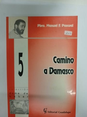 Camino a Damasco 5