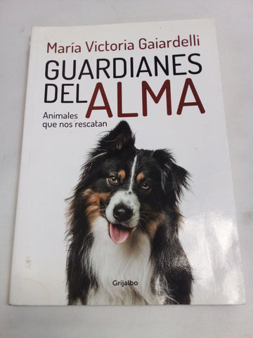 Guardianes Del Alma