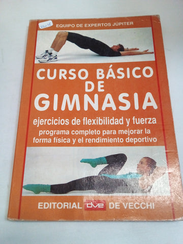 Curso Basico de Gimnasia