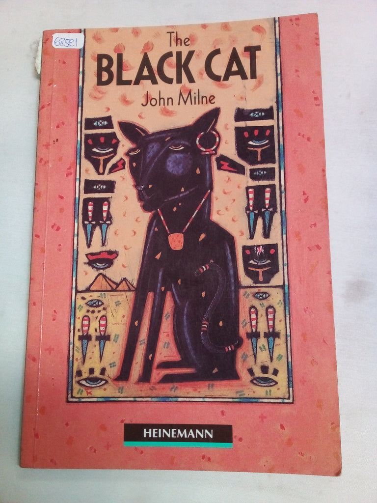 Black Cat: Heinemann Guided Readers