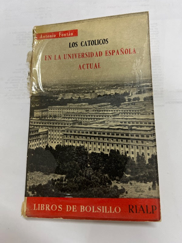 Los catolicos en la universidad española actual