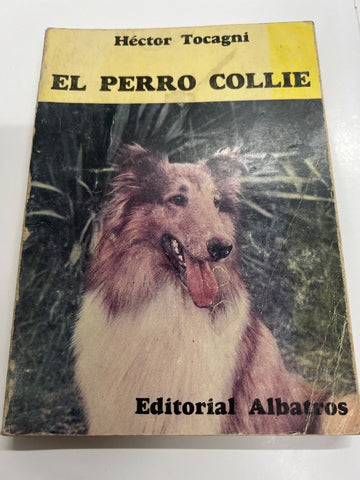 El perro collie