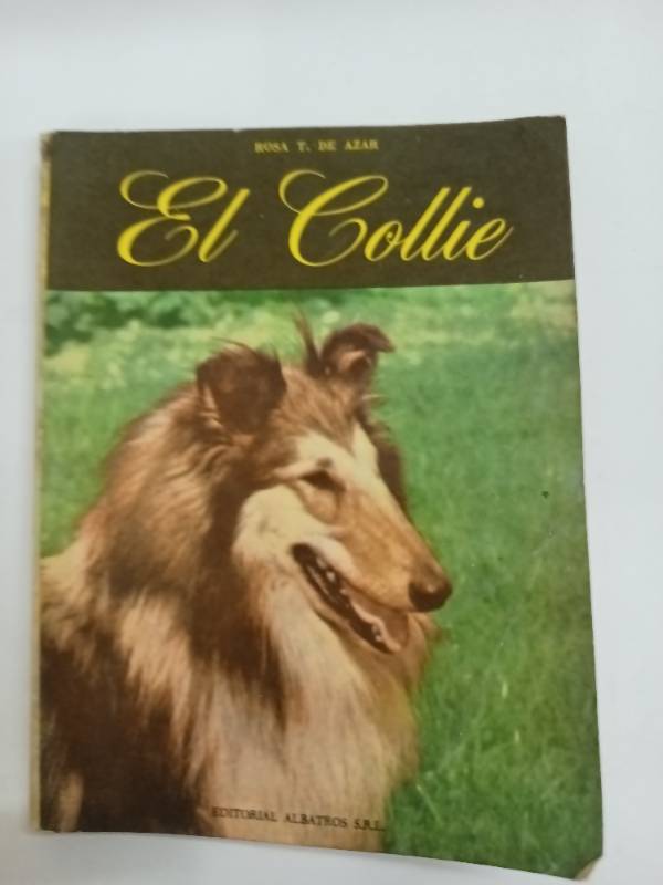 El collie