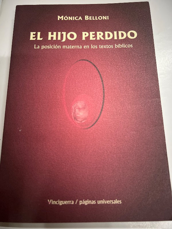 HIJO PERDIDO, EL (Spanish Edition)