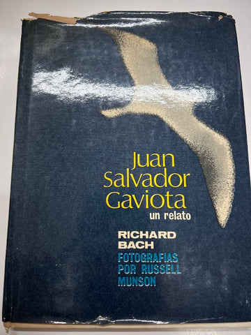 Juan Salvador Gaviota