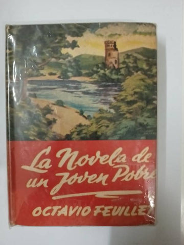 La novela de un joven pobre