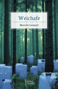Weichafe