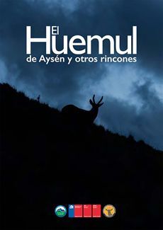El Huemul de Aysén y otros rincones